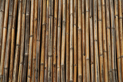 Full frame shot of bamboo