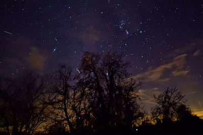 Low angle view of silhouette trees against sky at night