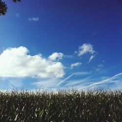 Scenic view of field against cloudy sky