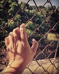 Close-up of hand touching chainlink fence
