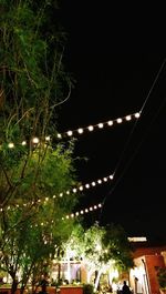 Low angle view of illuminated tree at night