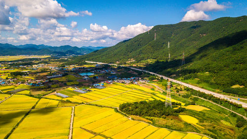 Scenic view of agricultural field against sky