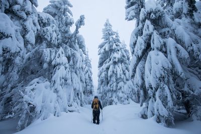 Rear view of man on snow covered land