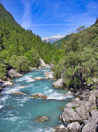 The emerald soca river neat bovec