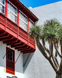 Low angle view of palm tree by building against sky