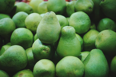 Full frame shot of grapefruit in market