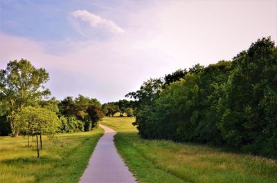 Road amidst trees on field against sky