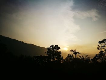 Silhouette trees against sky during sunset
