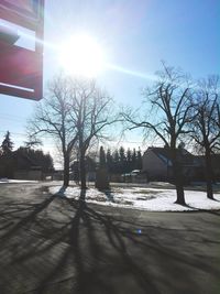 View of bare trees in winter