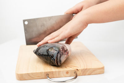 Close-up of hand holding fish