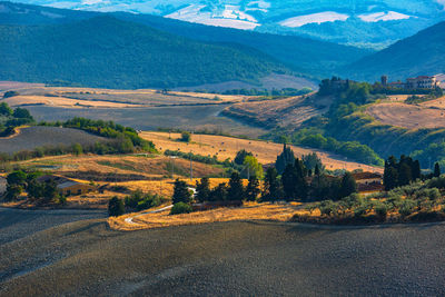 Scenic view of rural landscape