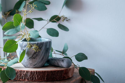 Pestle and mortar on a rustic background with beautiful eucalyptus