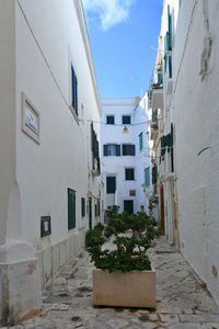 A street of monopoli, an old town in puglia, italy.