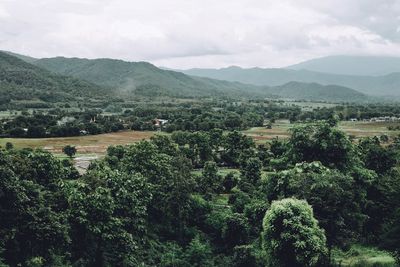 High angle view of trees on landscape against sky