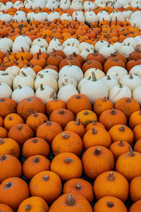 Full frame shot of pumpkins at market stall