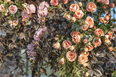 High angle view of rose bouquet