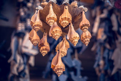 Low angle view of dried hanging on clothesline