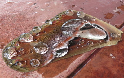 Close-up view of bread