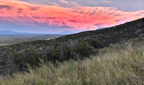 Scenic view of field against sky during sunset