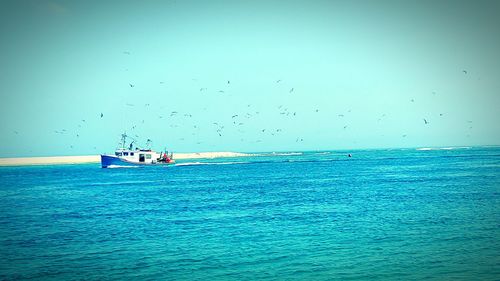 Scenic view of sea against sky