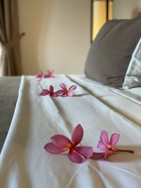 Close-up of pink flower on table