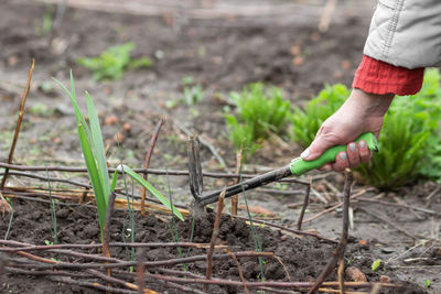 Midsection of man gardening