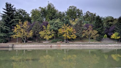 Trees growing by pond in park against blue sky