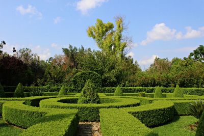 Scenic view of trees against sky