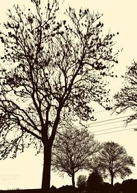 Low angle view of silhouette tree against clear sky