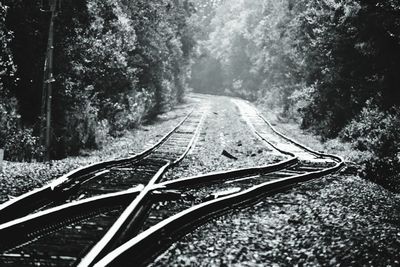 Railroad tracks amidst trees in forest