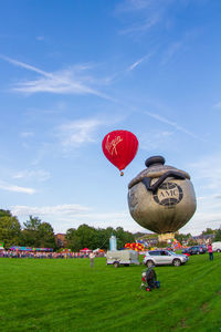 Red balloons on field by trees against sky