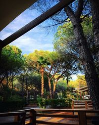 Trees and plants in park against sky