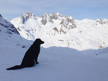 Scenic view of snowcapped mountain against sky