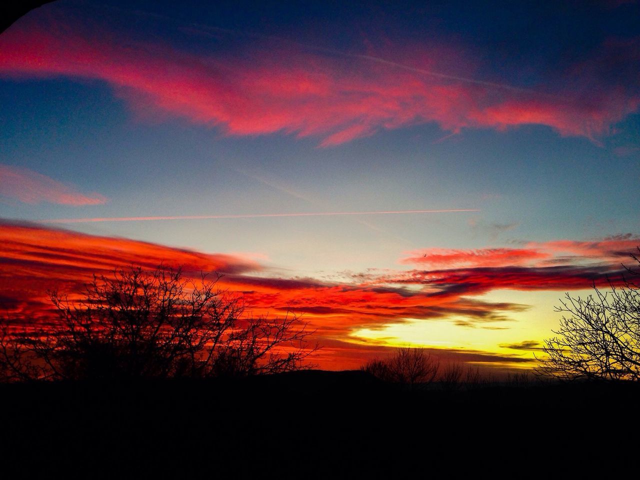 sunset, silhouette, sky, scenics, beauty in nature, tranquil scene, orange color, tranquility, landscape, cloud - sky, nature, dramatic sky, tree, idyllic, field, cloud, moody sky, outdoors, dusk, majestic