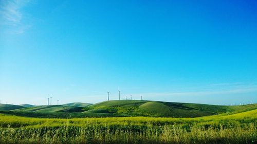 Scenic view of agricultural field against clear blue sky