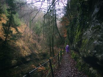 Rear view of people walking on footpath in forest