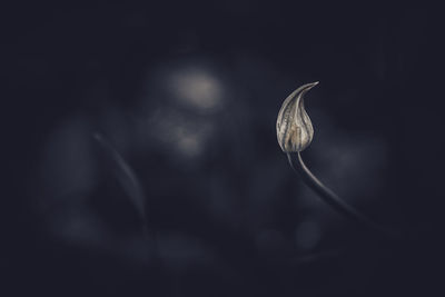darkness