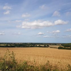 Scenic view of agricultural field against sky