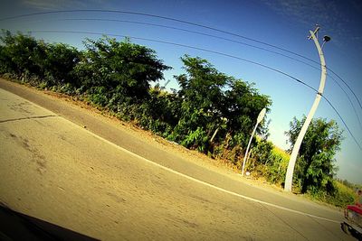 Empty road along trees