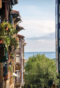 Plants and building by sea against sky