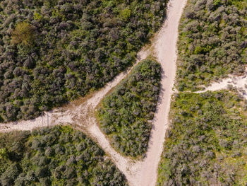 High angle view of road amidst trees