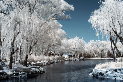 Infrared photography the summer palace, beijing, china
