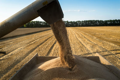 Wheat pouring from combine harvesters field against sky