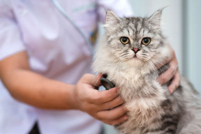 Close-up of person holding cat