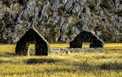 House on field against houses and plants