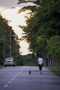 Full length rear view of woman walking with dog amidst trees at dusk