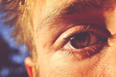 Extreme close up of human eye
