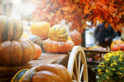 Close-up of pumpkins for sale at market