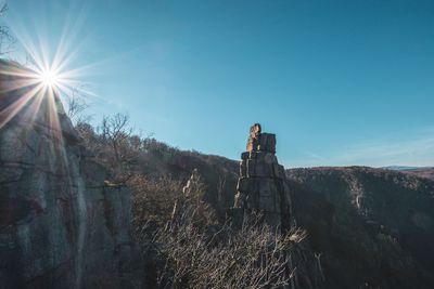 Woman standing by plants against clear blue sky