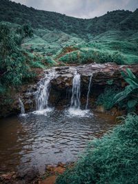 Scenic view of waterfall